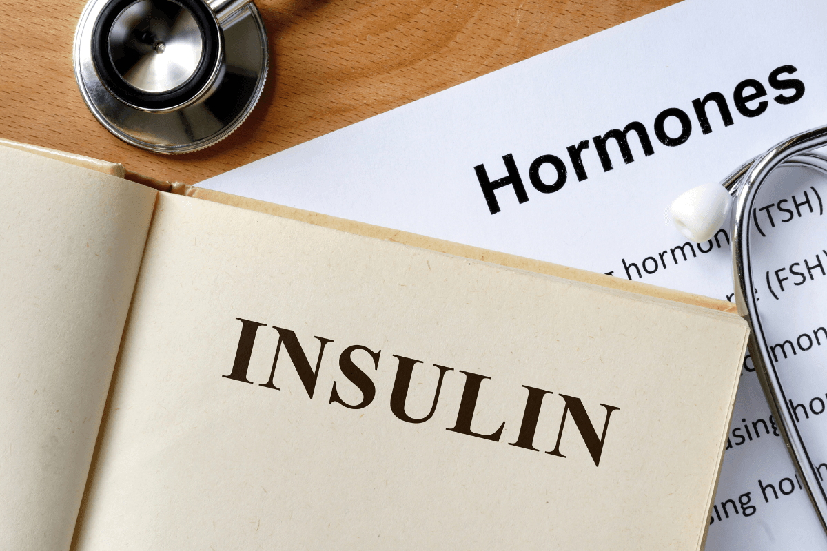 Insulin Synthesis