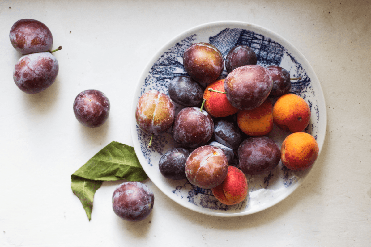 Plums and Diabetes
