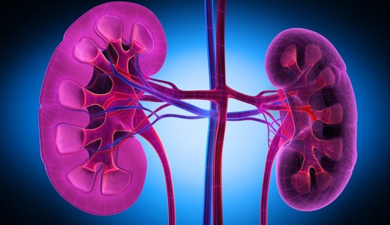 Diabetic Nephropathy: Stages, Diagnosis, and Treatment