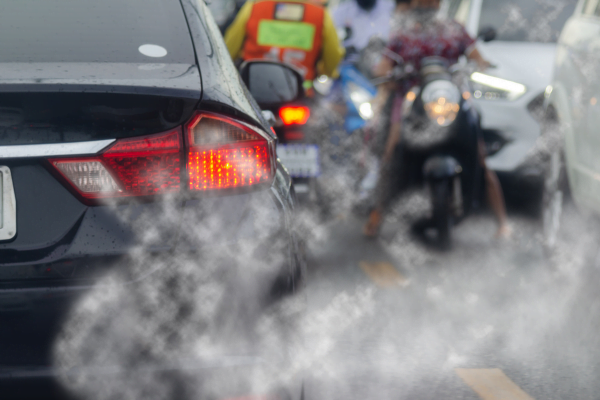 what is an environmental factor