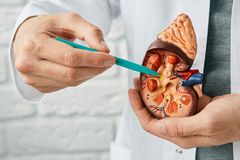 wegovy and kidneys
