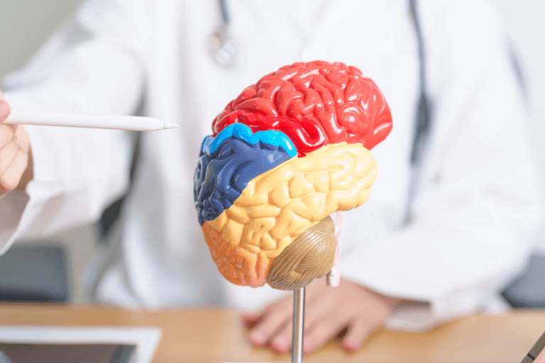 Blood Sugar and Brain