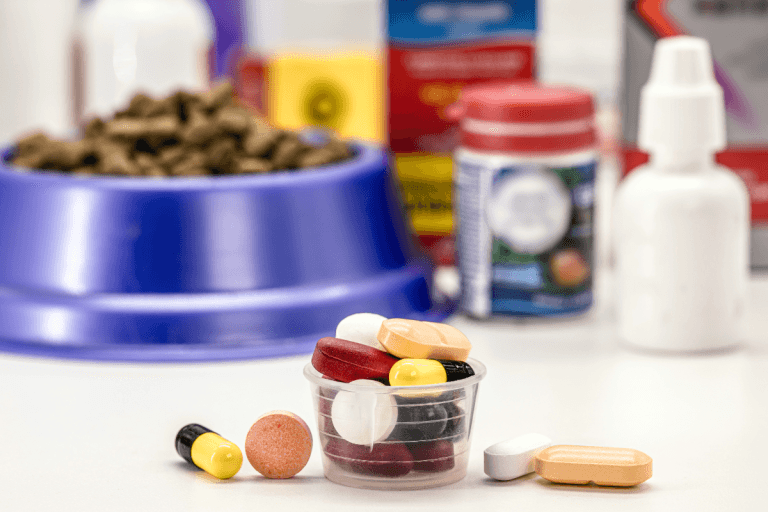 Pet Antibiotics