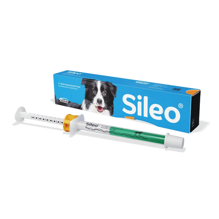 Sileo Gel 1 Sileo Gel